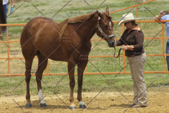 PCSC61513_1625