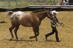 PCSC61513_1629