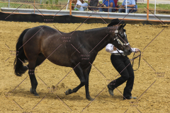 PCSC61513_1634