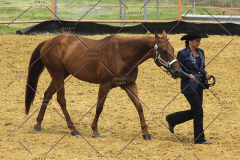 PCSC61513_1636