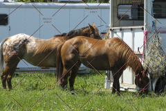 PCSC61513_1535