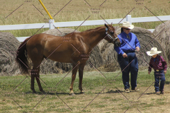 PCSC61513_1540