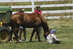 PCSC61513_1616