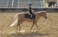 PCSC61513_2006