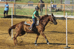PCSC61513_2008