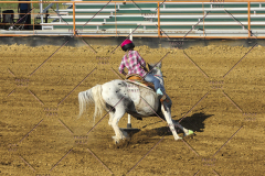 PCSC61513_2011