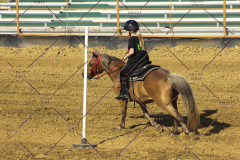 PCSC61513_2013
