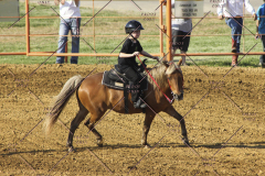 PCSC61513_2014