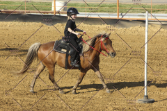 PCSC61513_2015