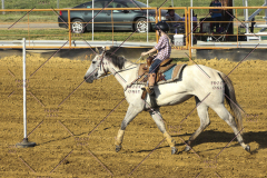 PCSC61513_2017