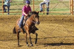 PCSC61513_2019