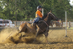 PCSC61513_2115