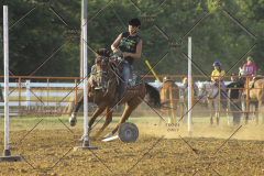 PCSC61513_2153