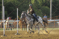 PCSC61513_2159