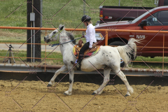 PCSC61513_1742