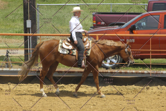 PCSC61513_1781