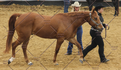 PCSC51813_1857