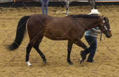 PCSC51813_1859