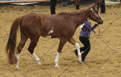 PCSC51813_1861