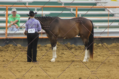 PCSC51813_1881