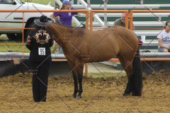 PCSC51813_1883