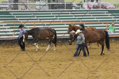 PCSC51813_1889
