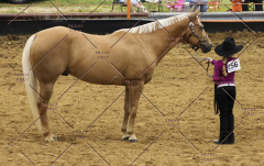 PCSC51813_1898