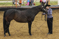 PCSC51813_1904