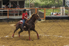 PCSC51813_2097