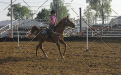PCSC51813_2191