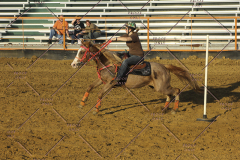 PCSC51813_2221