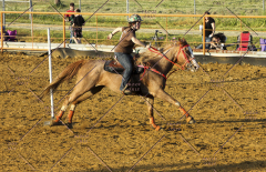 PCSC51813_2222