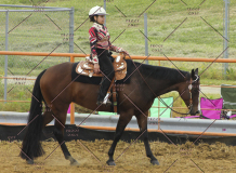 PCSC51813_2015