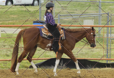 PCSC51813_2017