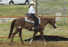 PCSC51813_2018