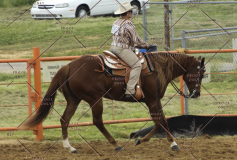 PCSC51813_2020