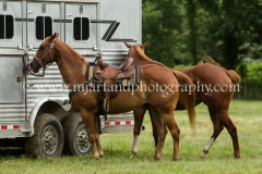 AltonIllinois62914_IMG_6271_notforcopy