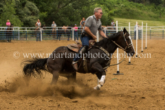 AltonIllinois62914_IMG_6414_notforcopy