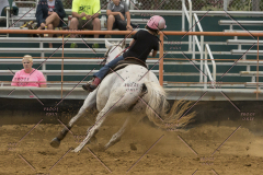 PCSChorseshow81614_IMG_5129