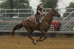 PCSChorseshow81614_IMG_5151
