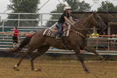 PCSChorseshow81614_IMG_5152