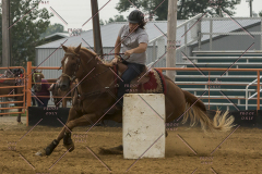 PCSChorseshow81614_IMG_5158