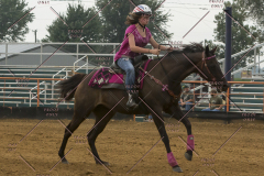 PCSChorseshow81614_IMG_5182