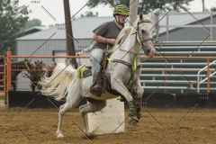 PCSChorseshow81614_IMG_5189