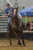 PCSChorseshow81614_IMG_5240