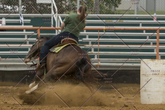 PCSChorseshow81614_IMG_5248