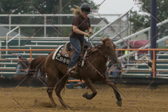 PCSChorseshow81614_IMG_5278