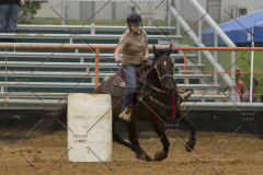 PCSChorseshow81614_IMG_5288