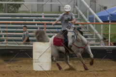 PCSChorseshow81614_IMG_5310