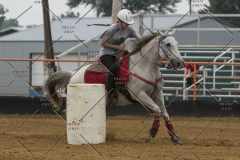 PCSChorseshow81614_IMG_5312